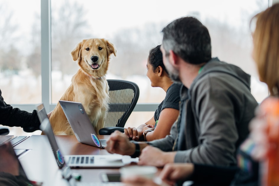 Building Trust in Teams